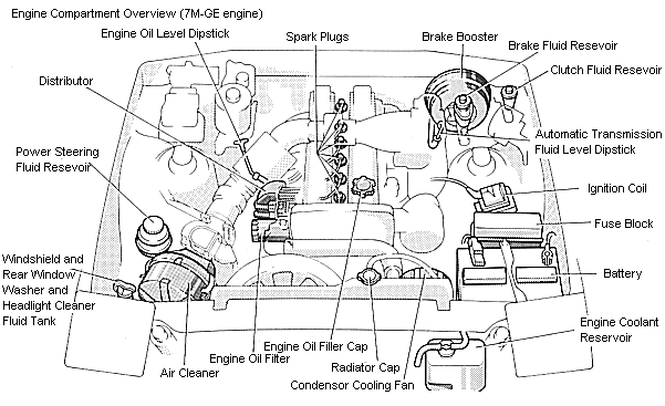 Engine Compartment Overview (7M-GE engine)