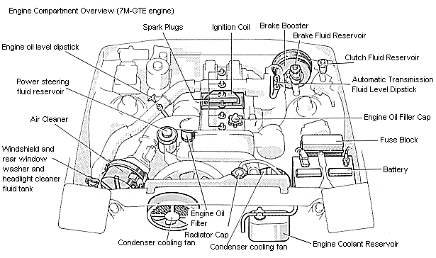 Engine Compartment Overview (7M-GTE engine)